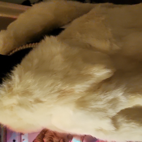 Champagne color fur coat - Picture 3 of 4